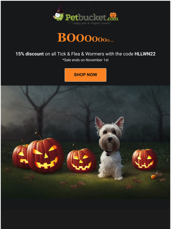 Halloween Sale is ON 👻👻👻