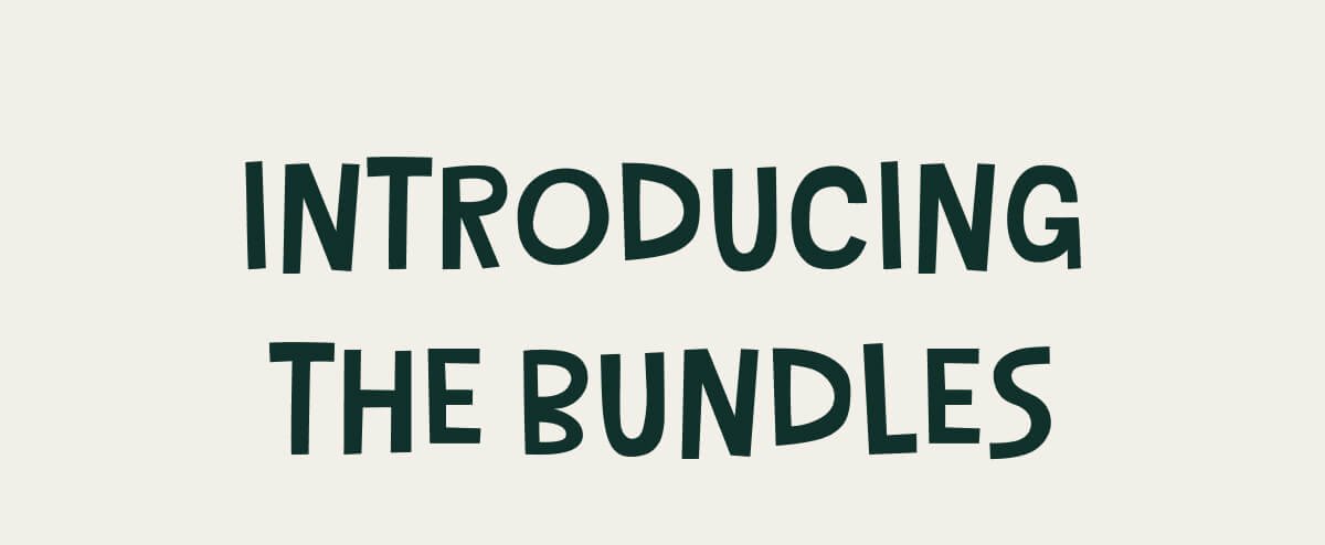 Introducing the bundles