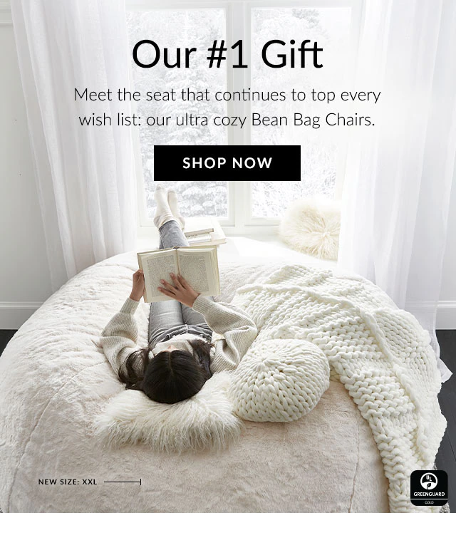 PBteen Bean Bag Chairs Now in XL & XXL! 📣 Milled