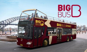 Hop-On Hop-Off Bus Tour Ticket (Upgraded to 48-Hrs for Groupon Users)