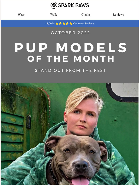 Spark Paws Check out the dog models in spotlight this month!😍 Milled