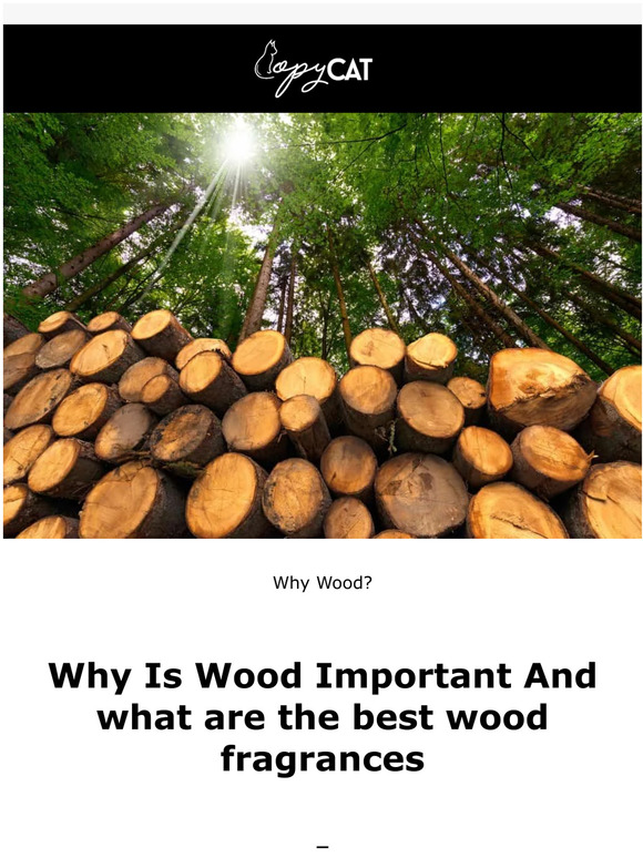Copycat Fragrances Why Is Wood So Important For Fragrance? Milled