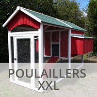 Poulaillers XXL