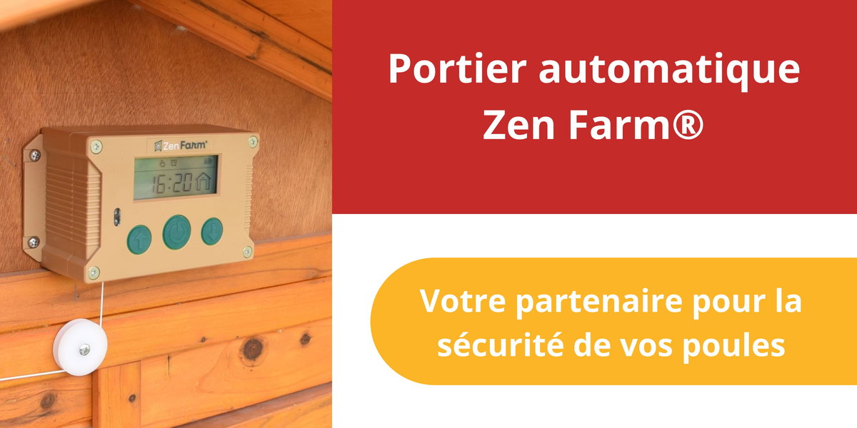 Zen Farm® : Le partenaire idéal pour la sécurité de vos poules ! 