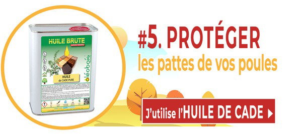 #5 Protéger les pattes de vos poules de l'humidité