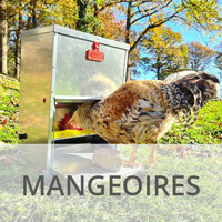 Mangeoires