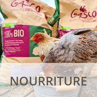Nourriture