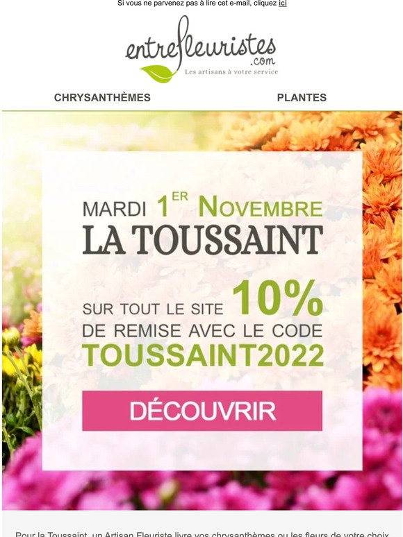 Pour la Toussaint, 10% de remise sur vos chrysanthèmes, fleurs & plantes d'extérieur