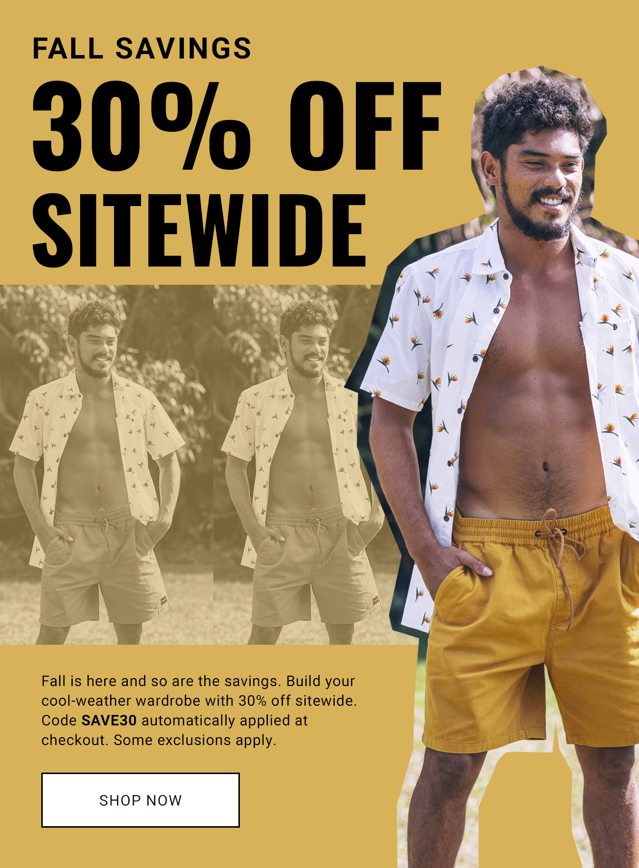 30% OFF Sitewide | Shop Now