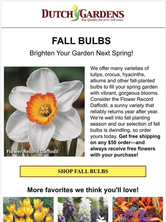 🔆 Add some sunshine to your spring garden!
