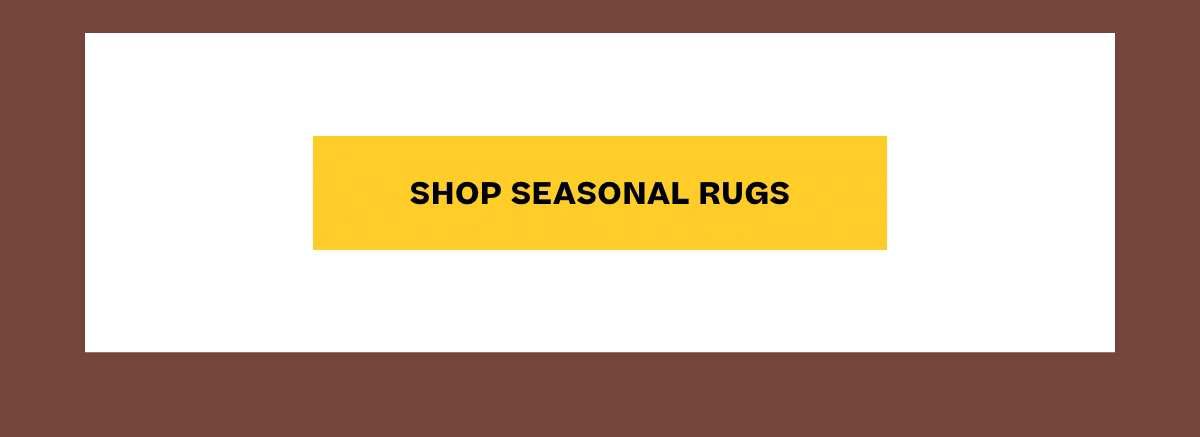 Shop Seasonal Rugs