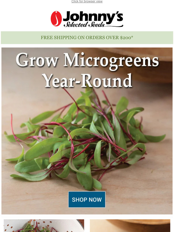 Johnny's Selected Seeds Popular Microgreens With a Quick Turnaround