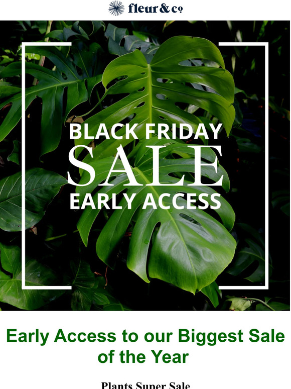 Our Biggest Sale to Date! 🛒💚🌱🌿