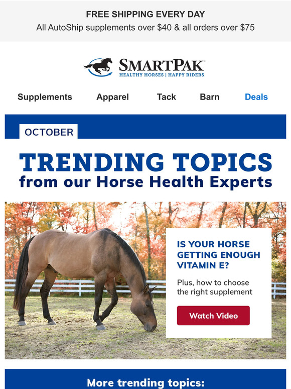 SmartPak Equine From The Experts How To Stop Cribbing, Behavioral