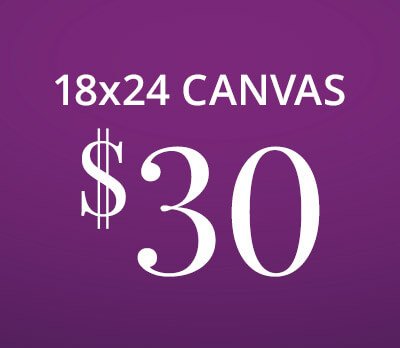 Last Chance: 18x24 Canvas For Only $30