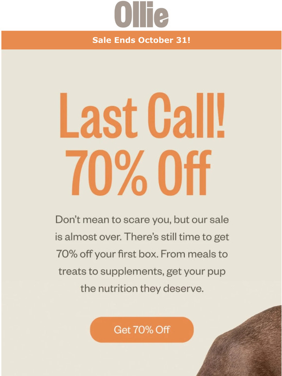 Last chance: Don't miss our scary good sale 🎃