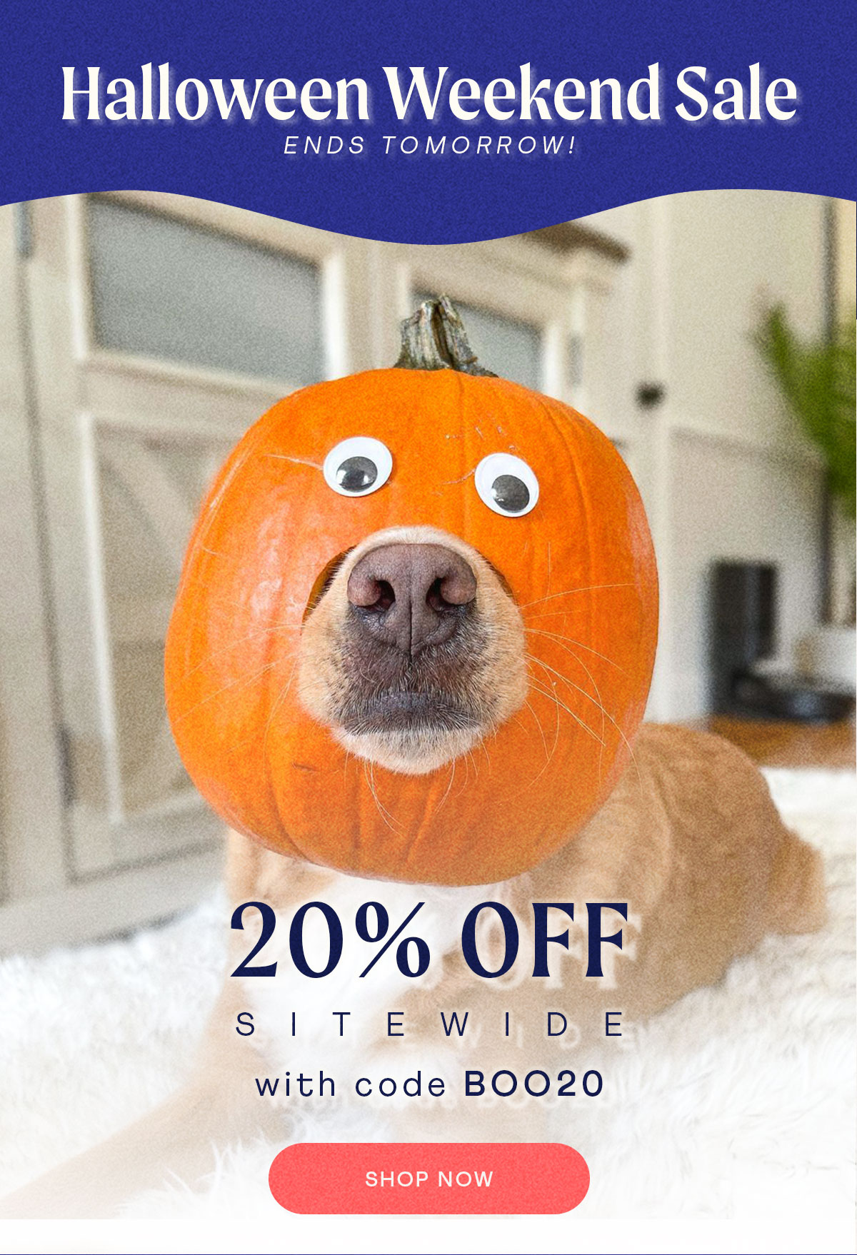 Happy HowlO's Eve 🕷 Milled