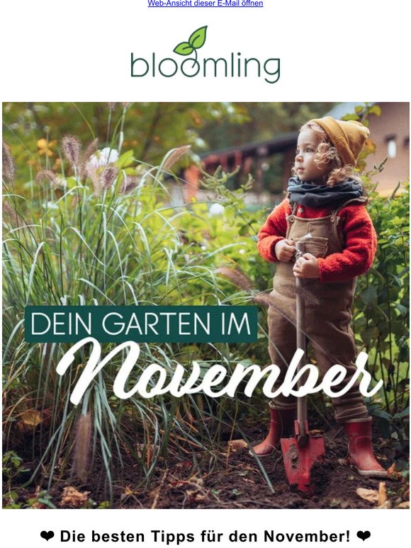 ❤ Top Garten-Tipps für den November! ❤