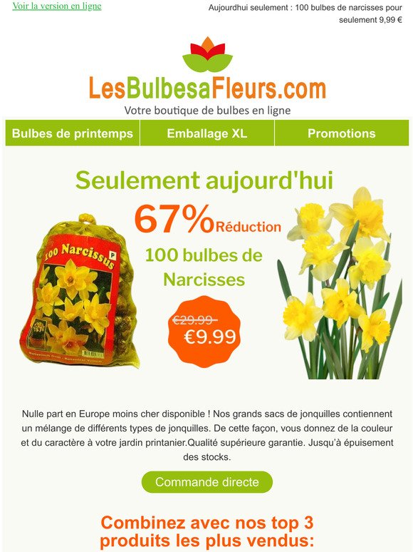 Les Bulbes à fleurs: Aujourdhui seulement : 100 bulbes de narcisses pour  seulement 9,99 € | Milled