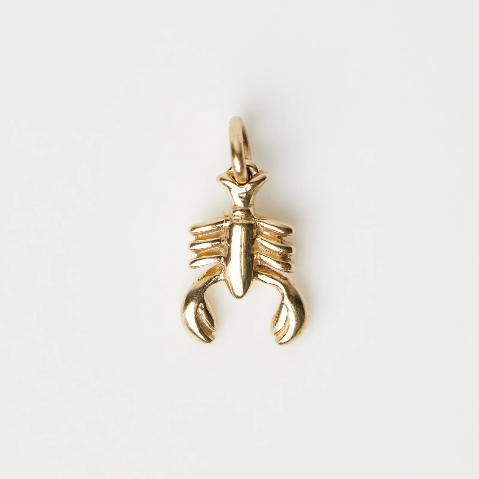 Image of Lobster Charm