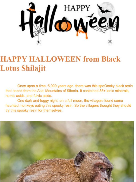 Happy Halloween from Black Lotus Shilajit!