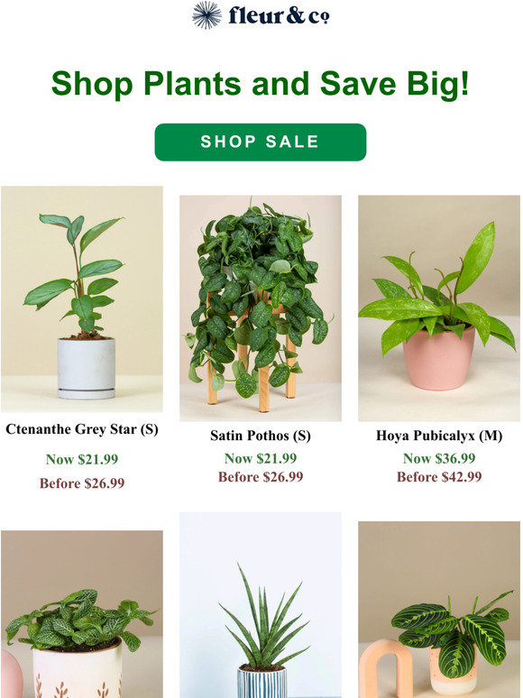 ⏰FINAL DAY to save on Plants!