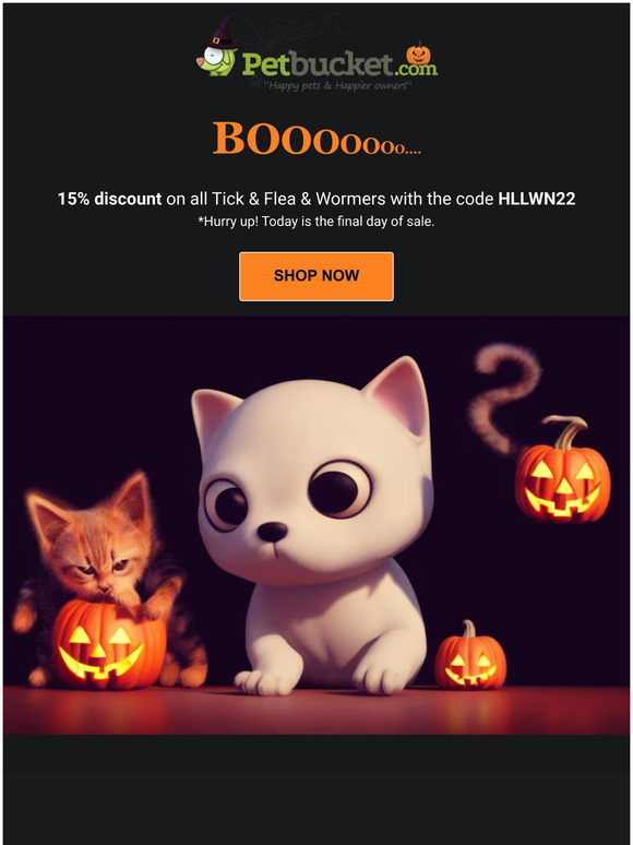 Final Day of Unmissable Halloween Sale 🎃