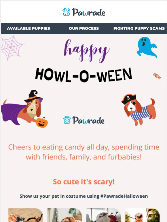 Wishing You a Boo-tiful Howl-O-Ween 👻🐶🎃