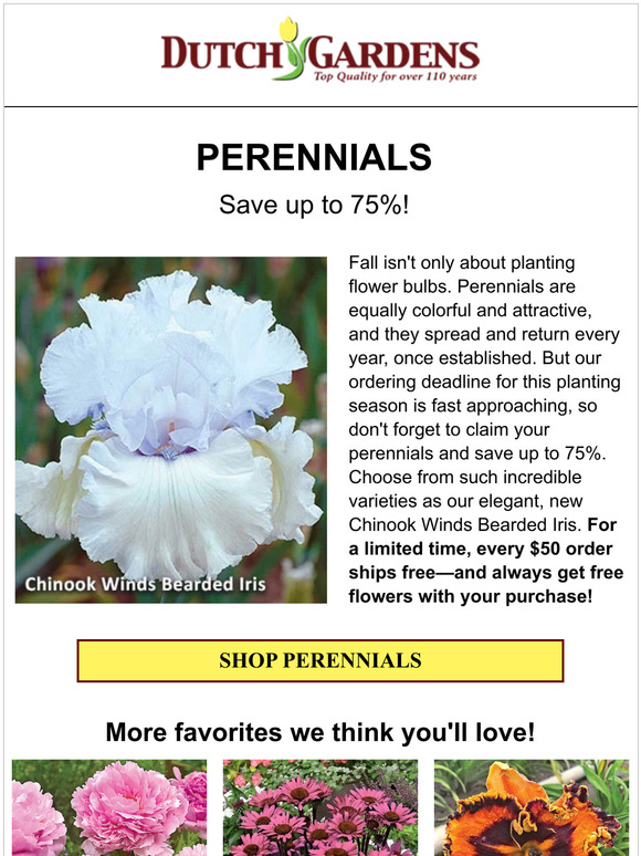 Save up to 75% when ordering perennials