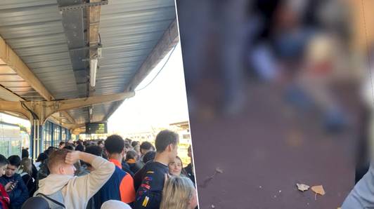 Vanochtend al grote drukte in Walibi: beelden tonen vechtpartij aan ingang van pretpark