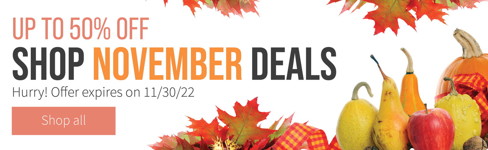 shop november deals