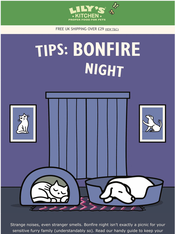Bonfire Night with Your Furry Family 🐶