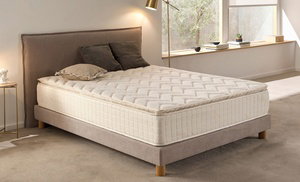 Matelas Grand Premier Topper Matelas Grand Premier Topper