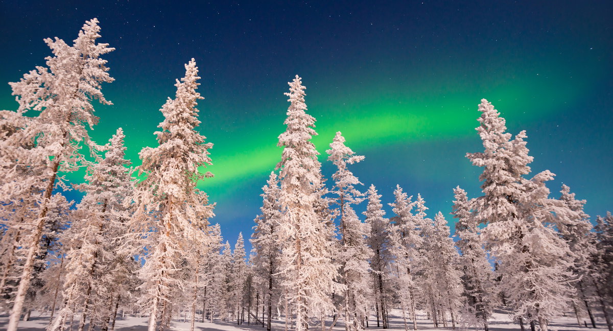 Northern Lights Adventures