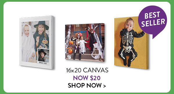 Best selling 16 by 20 Canvas now only $20.  Click to shop now