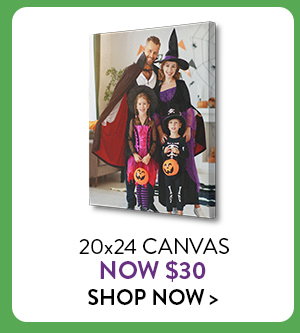 20 by 24 Canvas now only $30.  Click to shop now