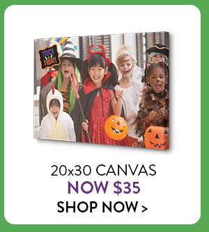 20 by 30 Canvas now only $35.  Click to shop now