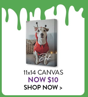 11 by 14 Canvas now only $10.  Click to shop now
