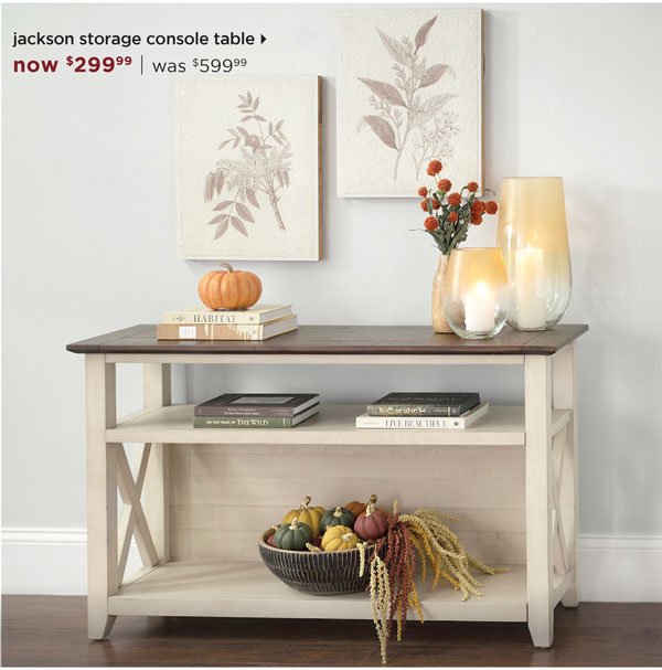 Dark Brown and Ivory Jackson Storage Console Table