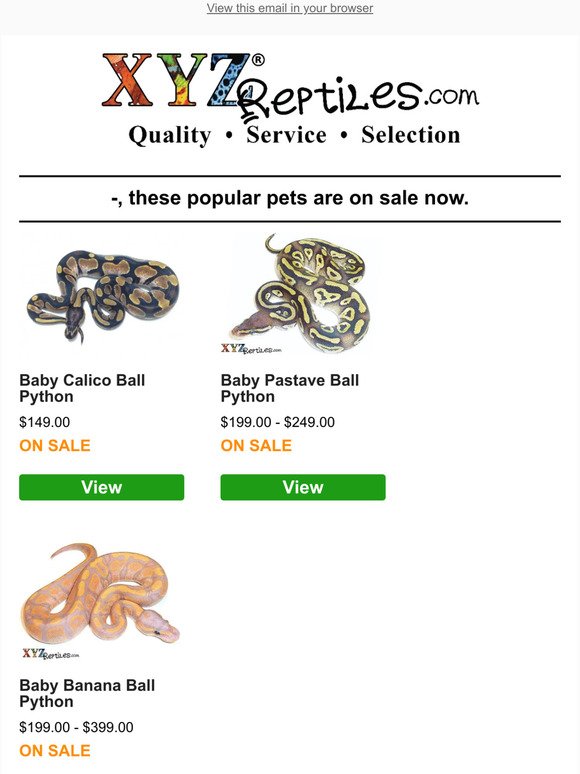 🐍 Popular Ball Python Morphs & More On Sale