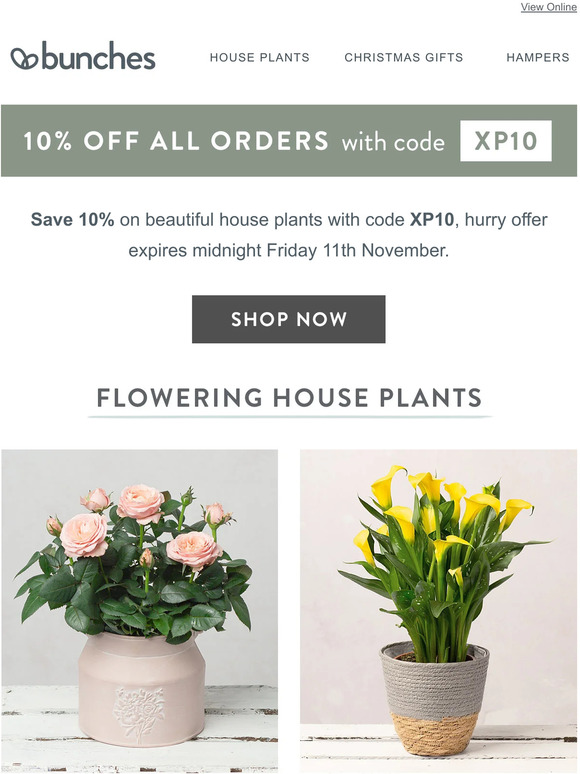 Plants to make the home bloom with 10% off