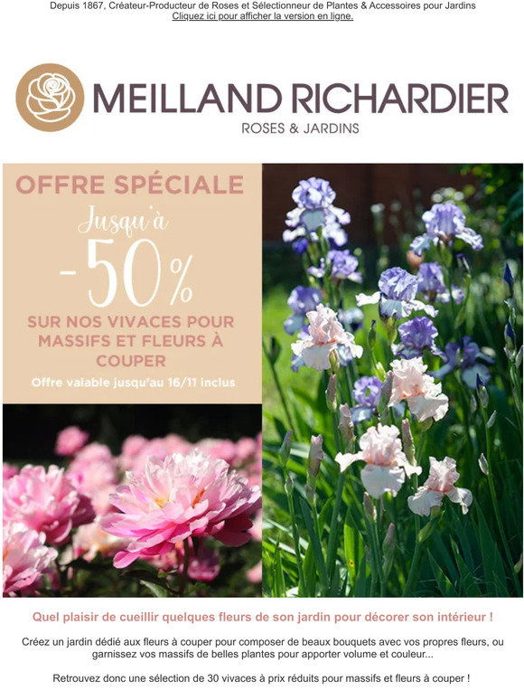 Code Promo Meilland Richardiernull