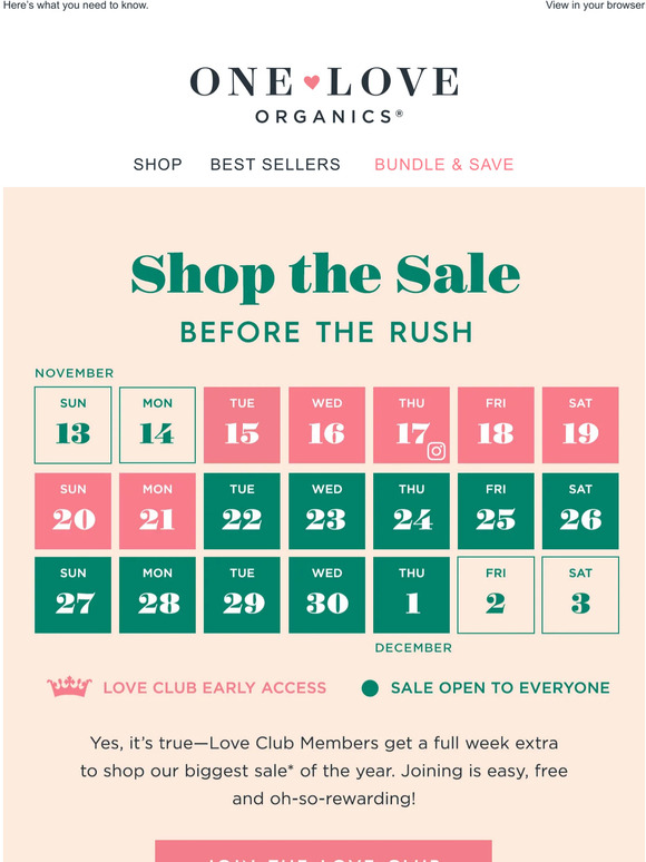 What’s YOUR Holiday Sale Plan?! 💥