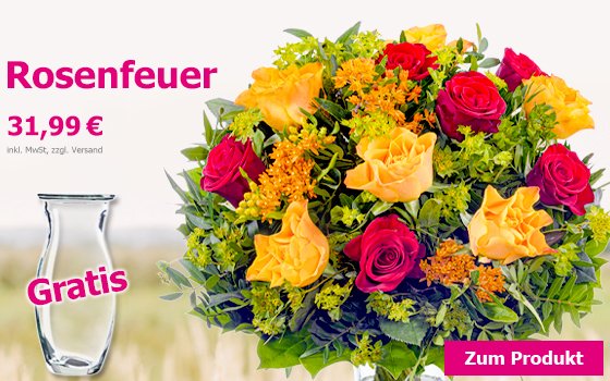 Ein edles Ensemble: Rosenstrauß Rosenfeuer mit gratis Vase für 31,99 €