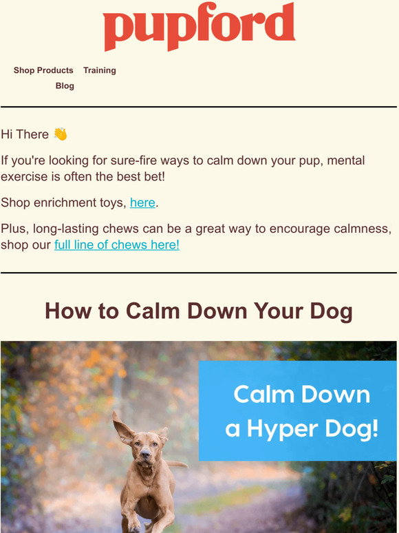 Pupford: [article] How to Calm Down Your Pup | Milled