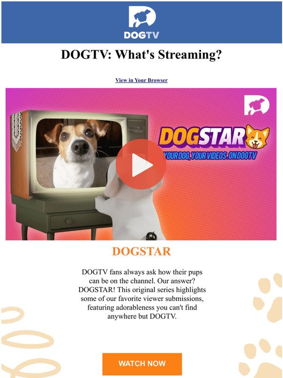 Is Your Dog Bored? - DOGTV: Television for Dogs