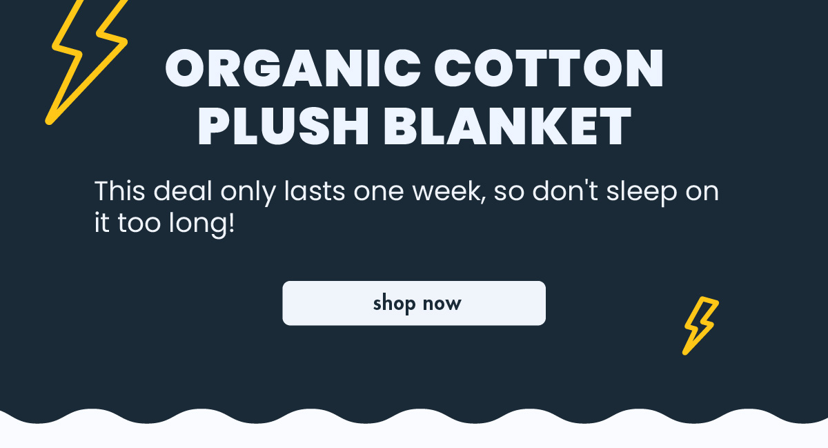 Berkshire Blanket & Home Co brb, taking a Disco Nap 🕺😴 Milled