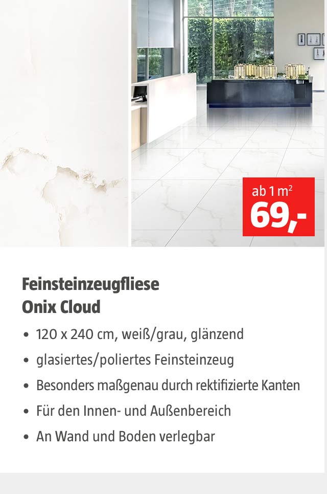 Feinsteinzeugfliese Onix Cloud
