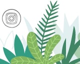 Instagram Link | Instagram Icon