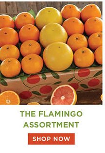 The Flamingo Assortment